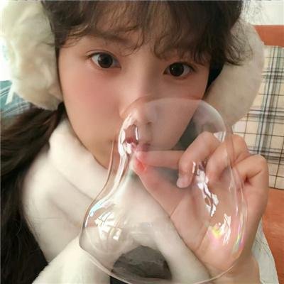 萌犬好声音3封面
