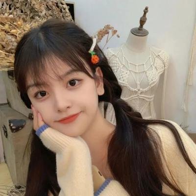 完美小姐进化论封面