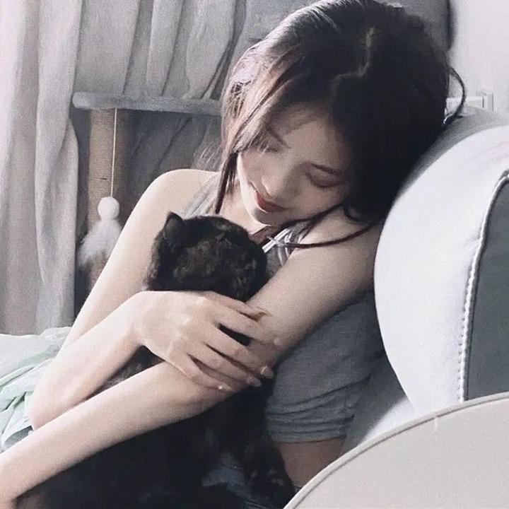 含笑九泉封面