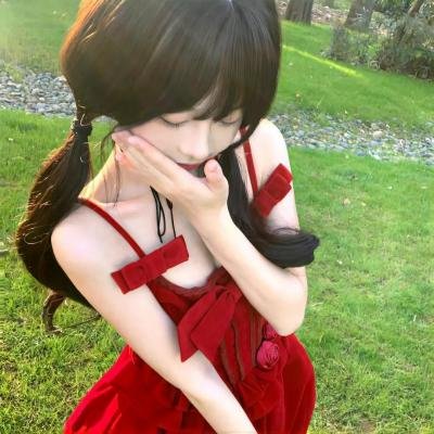 冒牌总统封面